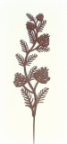 Dekostecker 'Zweig mit Zapfen' Metall rost 20 cm